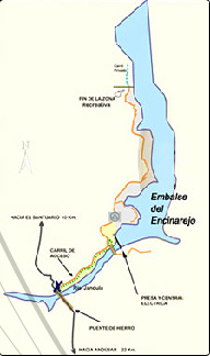 Mapa de ruta